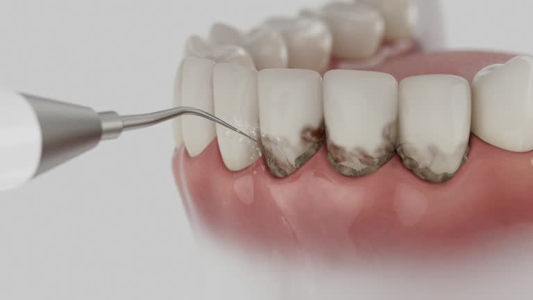 Reliable Dental contractor in Pennington Gap, VA by Dentist Open Now